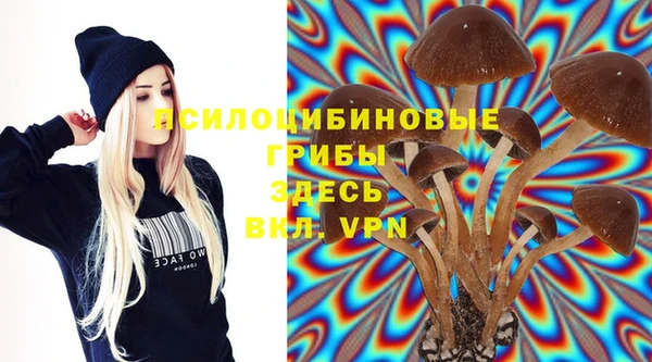 спайс Алексеевка