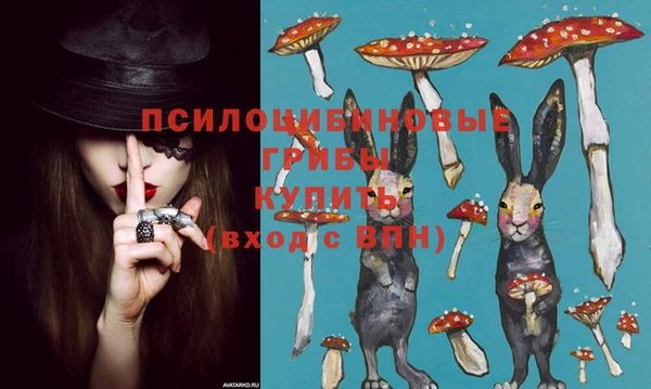 дживик Алексин
